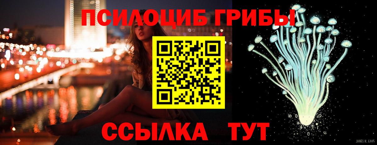 Галлюциногенные грибы Psilocybine cubensis Щёкино