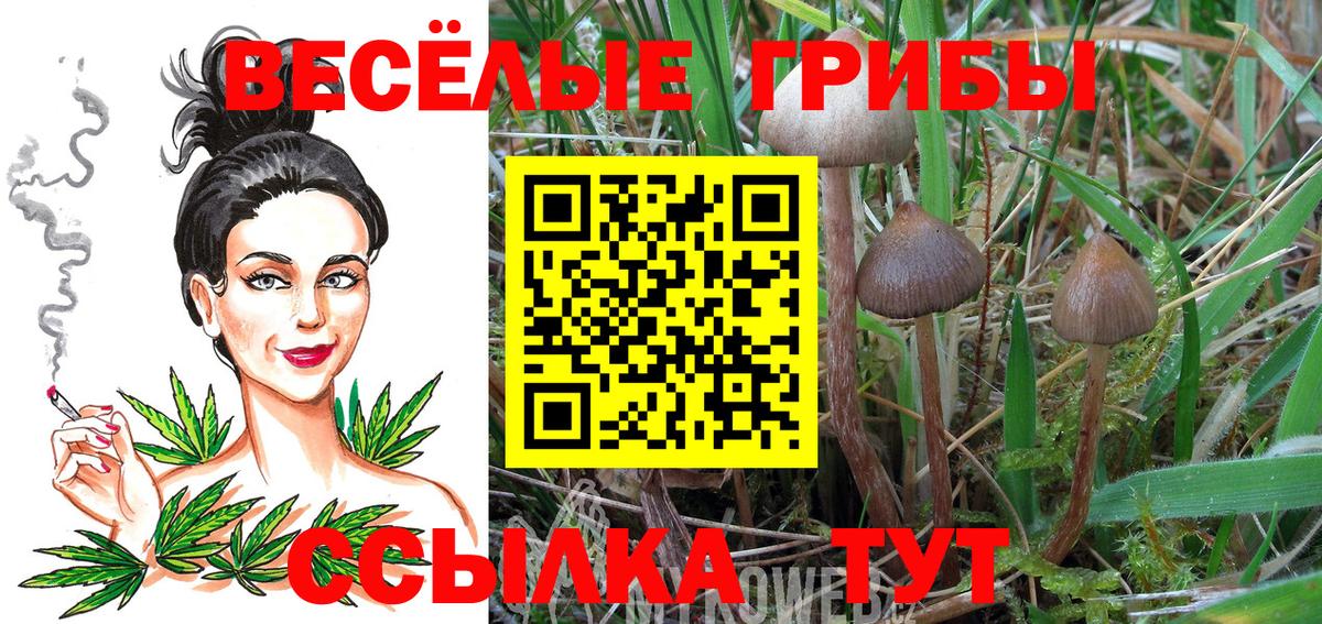 Галлюциногенные грибы ЛСД  Вход с VPN  Щёкино 